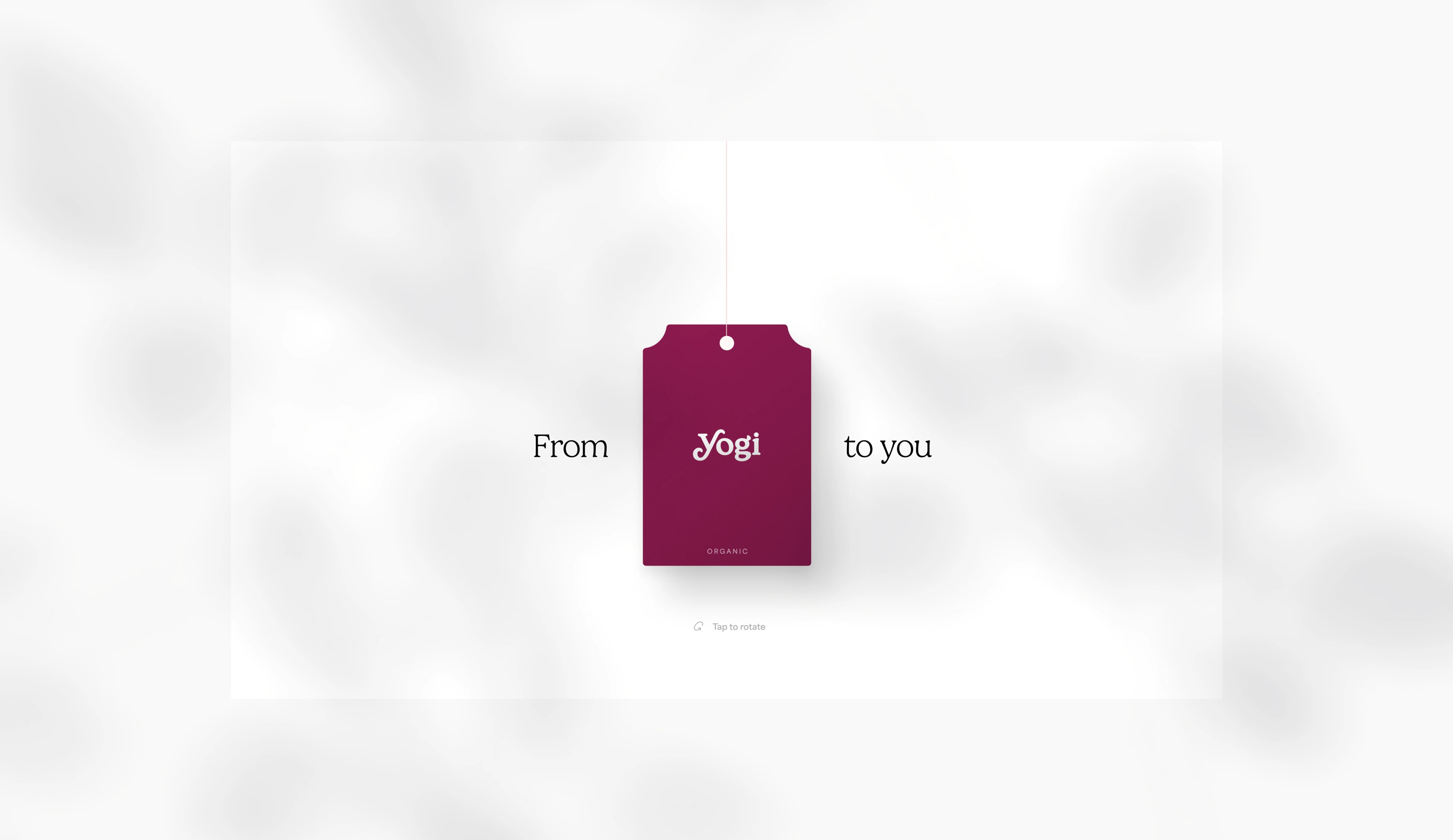 Yogi Yogi07